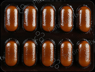 Ginkocer Forte Tablet