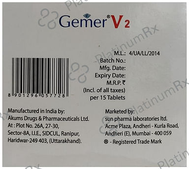 Gemer V2 Tablet 15s