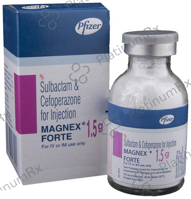 Magnex Forte 1000/500mg Injection 1s