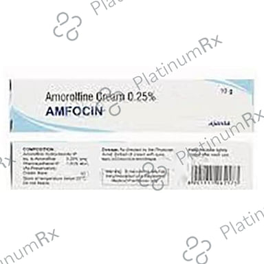 Amfocin Cream 10 Cream