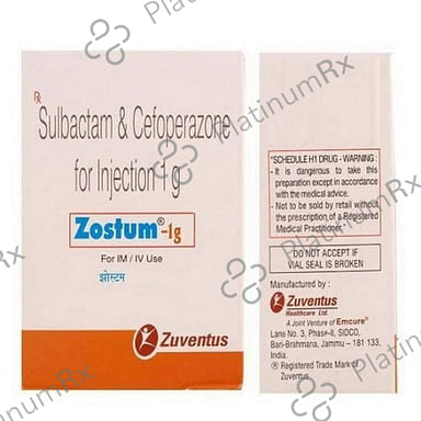 Zostum 1000mg/1000mg Injection 1ml