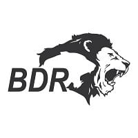 BDR Pharmaceuticals Internationals Pvt