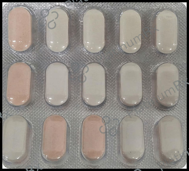 Metital SR 500/600mg Tablet 15s